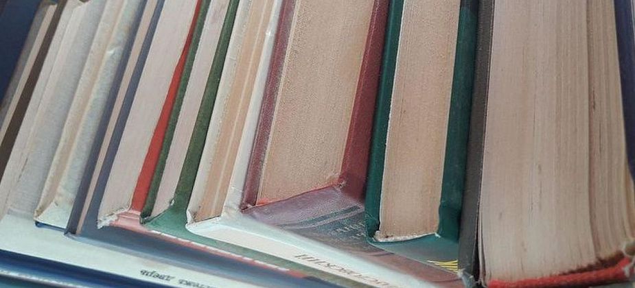 Для пациентов детской больницы православные активисты собрали 300 книг