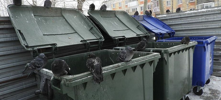 В Краснотурьинске появятся 22 новых мусорных контейнера