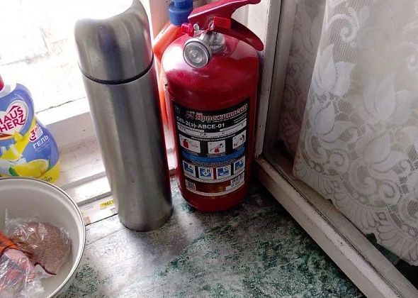 «Остатки от пенсии». Горожанка отдала 20 тысяч за ненужные огнетушитель и датчик газа