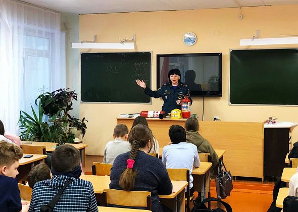 Сотрудники МЧС научили детей пользоваться гирляндами и пиротехникой  