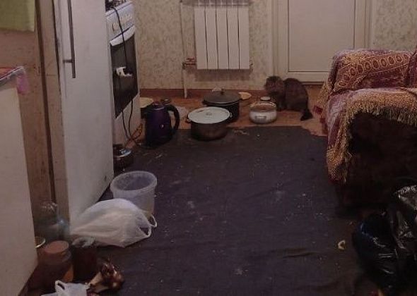 Мэрия просит суд лишить горожанина права пользоваться квартирой. Там фекалии, хлам и насекомые
