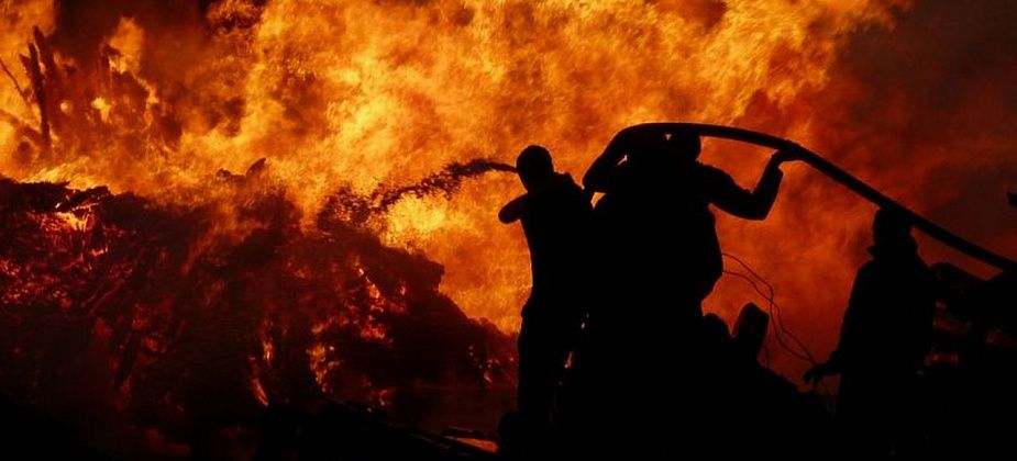 От огня спасли козочек и кроликов