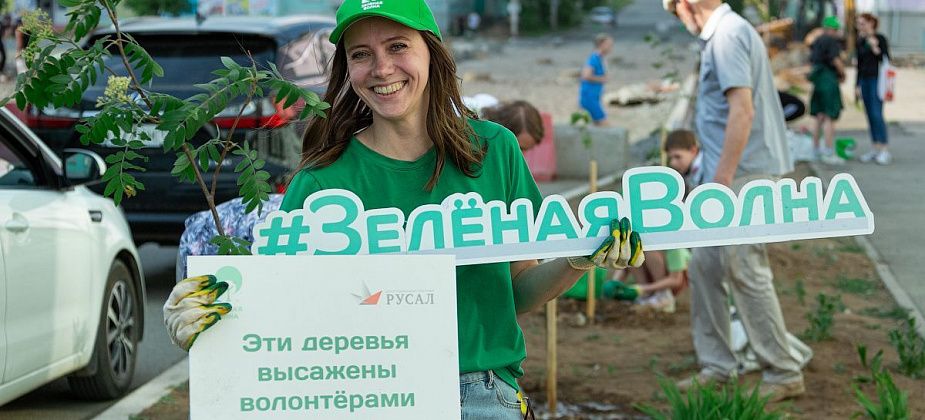 Благодаря «Зеленой волне» на улице Карла Маркса высадили рябины