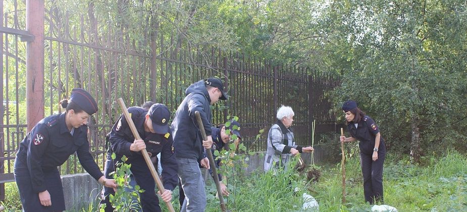 Возле полиции зацветет вишня и слива