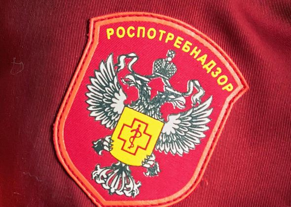 Итоги детского творческого конкурса, посвященного Всемирному дню прав потребителей