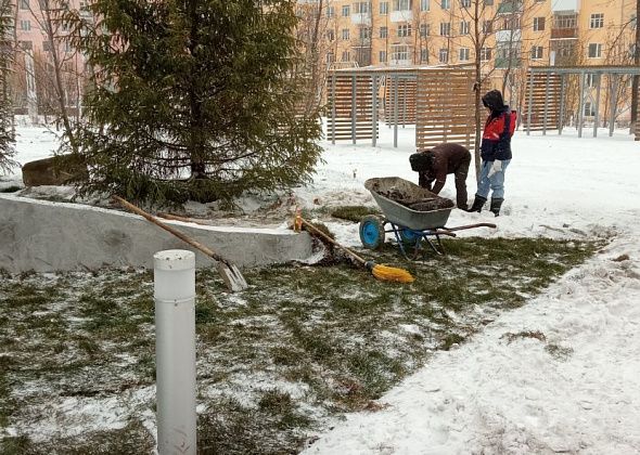 В Тихомировском парке рулонный газон укладывают в снег