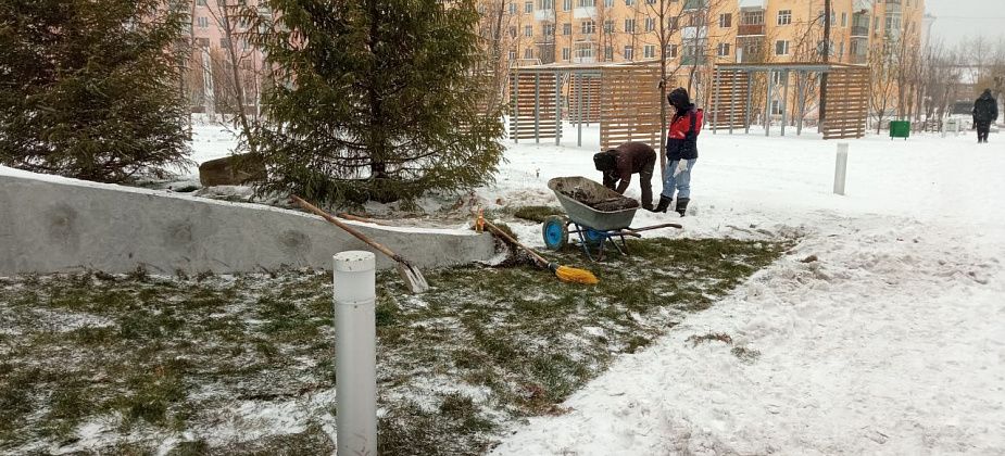 В Тихомировском парке рулонный газон укладывают в снег