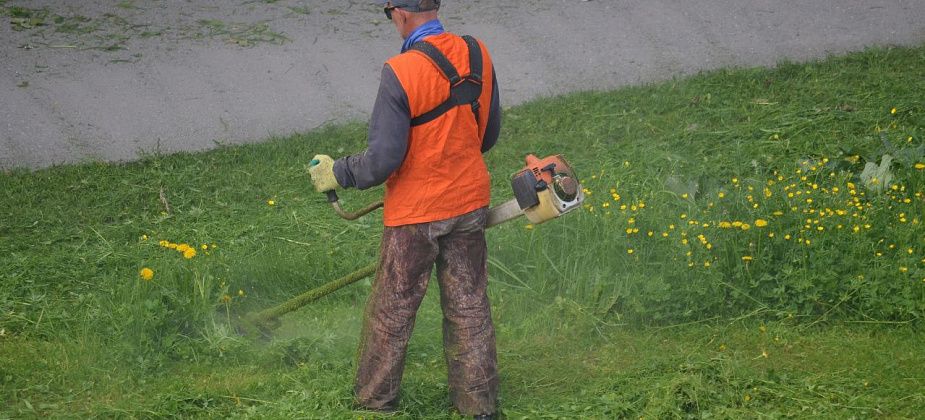 На покосе травы вдоль дорог можно заработать более 2 миллионов рублей