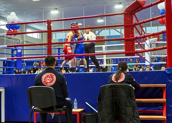 Краснотурьинские боксеры завоевали пять медалей на первенстве области