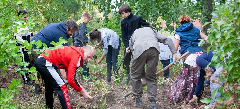 Посадили 7, выкопали 35. Православные собрали картошку у собора
