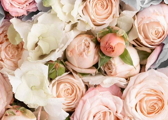 Определят поставщика цветов для администрации