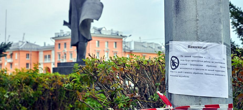 Гулять не рекомендуют. Самые посещаемые места города во второй раз обрабатывают от клещей