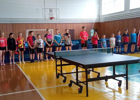 Более 40 ребят из четырех городов поучаствовали в соревнованиях по настольному теннису в Краснотурьинске