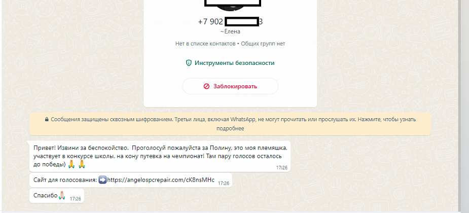 Не голосуйте за племянницу. Сотовый оператор предупреждает о мошенничестве в мессенджерах