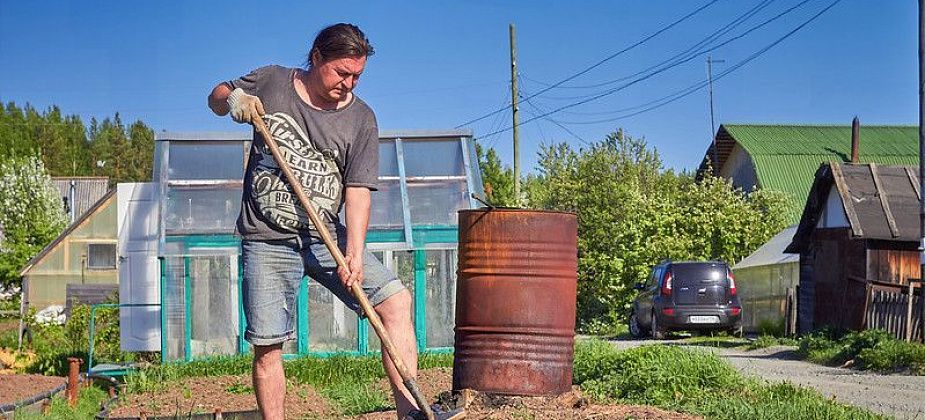 Чему посвятить сентябрь в саду?