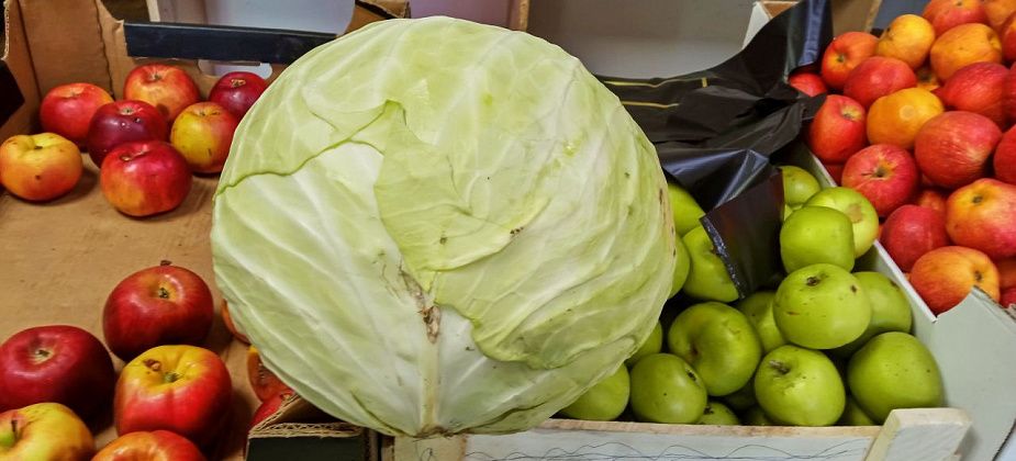 Стало известно, что сильнее всего подорожало за неделю в регионе