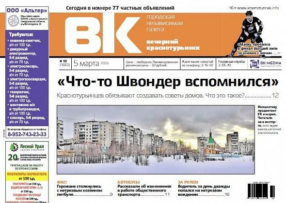 Краснотурьинцев понуждают создавать советы домов, а депутаты и мэр обсудили «собачий вопрос»