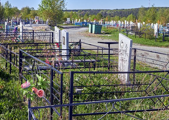 На уборку случайного мусора с городских кладбищ могут потратить более 700 тысяч рублей