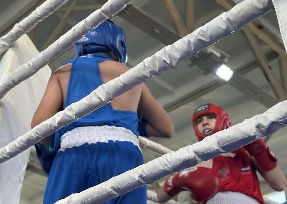 Краснотурьинские боксеры приняли участие в турнире памяти Ивана Пахтышева