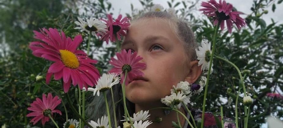 Подвели итоги самого ромашкового конкурса