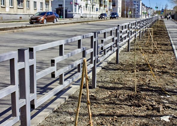 На улице Чкалова сломали саженцы
