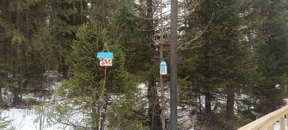 Приметы на 8 мая. Наблюдаем за радугой, не сплетничаем
