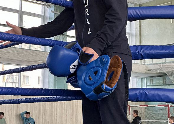 Краснотурьинские боксеры завоевали шесть медалей на первенстве области