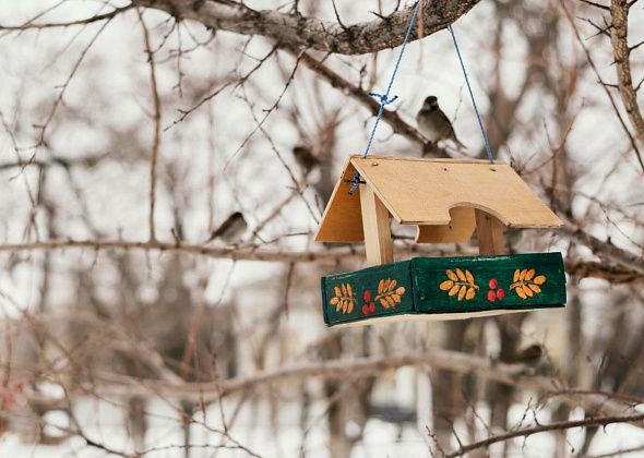 Более 30 школьников стали победителями экологической акции «Покормите птиц зимой»