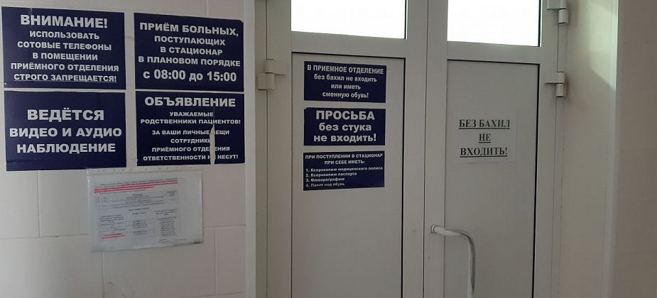 Выросло число краснотурьинцев, заразившихся клещевым боррелиозом