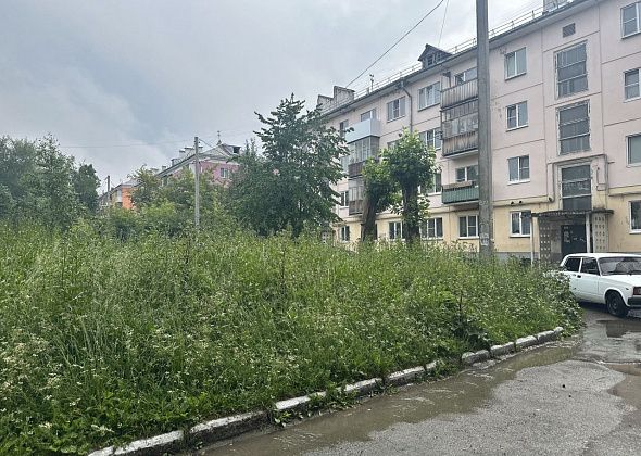 Трава в рост человека, разваливающиеся скамейки. Читатель называет «забытым» двор по Базстроевской