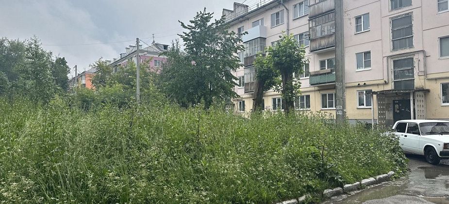 Трава в рост человека, разваливающиеся скамейки. Читатель называет «забытым» двор по Базстроевской