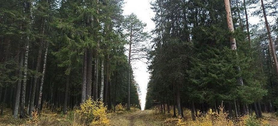 Шесть дней на «Пещерном» будут взрывать породу