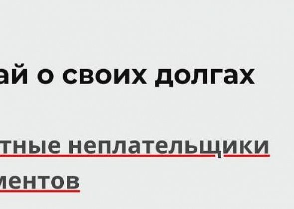 Заработал цифровой реестр должников по алиментам