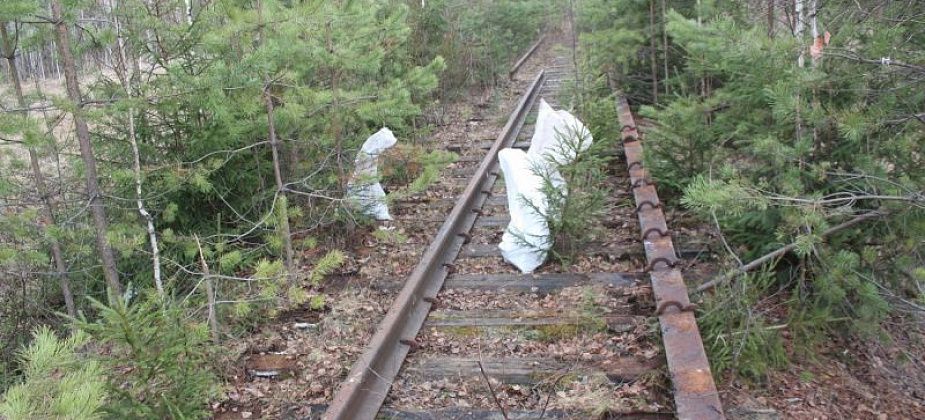 Двое жителей Карпинска разобрали железнодорожные пути под Краснотурьинском. Мужчин задержали транспортные полицейские Серова