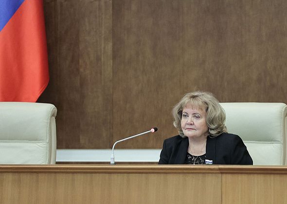 Региональные депутаты внесли поправки в законы, направленные на увеличение темпов газификации