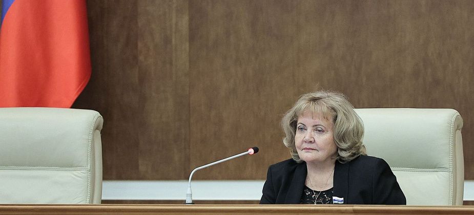 Региональные депутаты внесли поправки в законы, направленные на увеличение темпов газификации