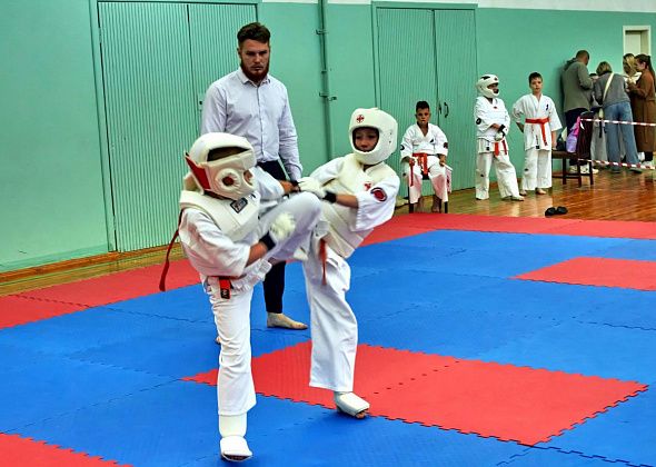 В Краснотурьинске прошли соревнования по карате. «Белые волки» взяли 61 призовое место