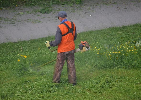 На покосе травы сэкономили более полумиллиона рублей