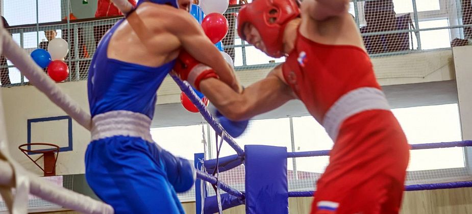В Краснотурьинске пройдет турнир по боксу, посвященный памяти Владимира Литке