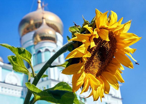 «Доброе лето» перенесли на следующее воскресенье