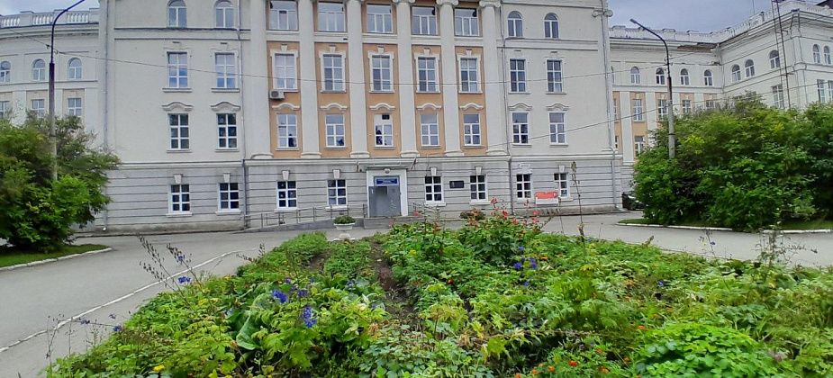 Более 90 медработников получили награды в преддверии профессионального праздника