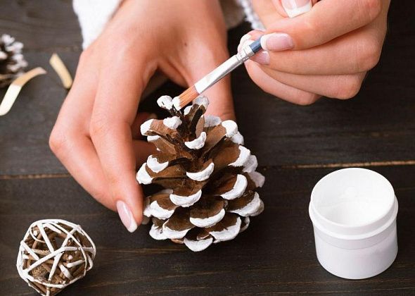 Юннаты предлагают горожанам поучаствовать в «ЭкоЕлочке»