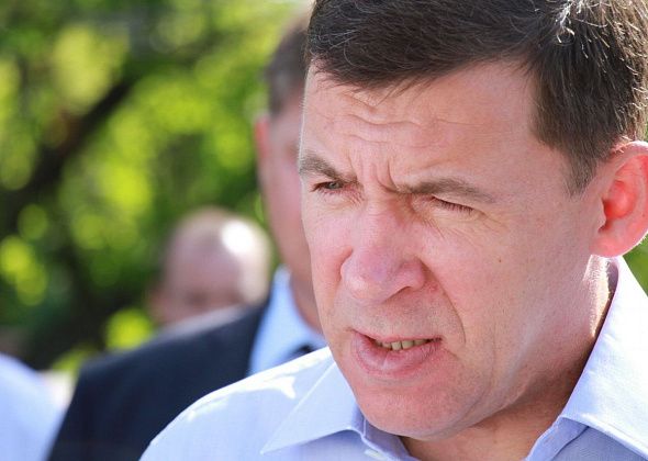 Губернатор потребовал у мэра Александра Устинова доложить о решении “собачьего вопроса”: “Придется лично отчитаться передо мной”