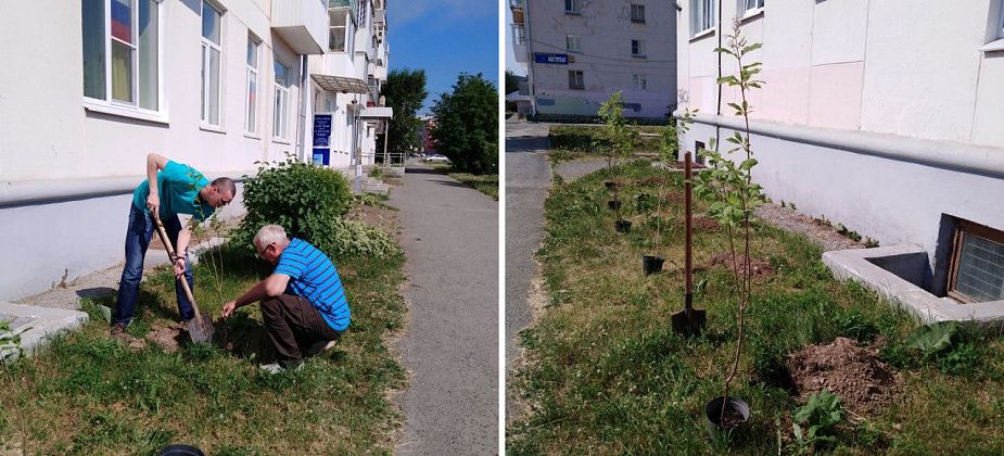 Территорию возле центральной городской библиотеки озеленят