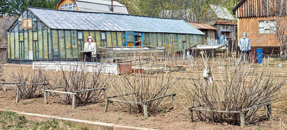 «Закончился сезон»: чему посвятить сентябрь в саду 