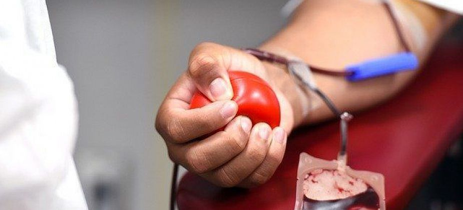 "Это как в лотерею выиграть": три истории о том, зачем люди становятся донорами