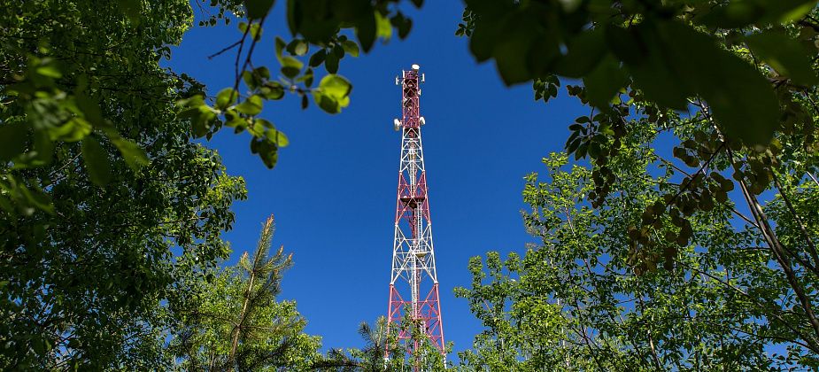 МегаФон организовал противопожарное наблюдение за лесами России