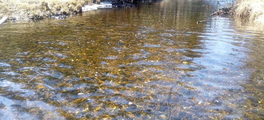 УГМК прокомментировала результаты анализов воды из Шегультана и Сосьвы