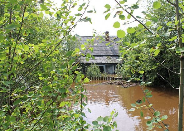 Бокситы затопило. На трассе пробка, дома в воде, кот Васька по крыше ходит
