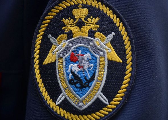 Глава СК России затребовал доклад по делу об убийстве девочки в Краснотурьинске
